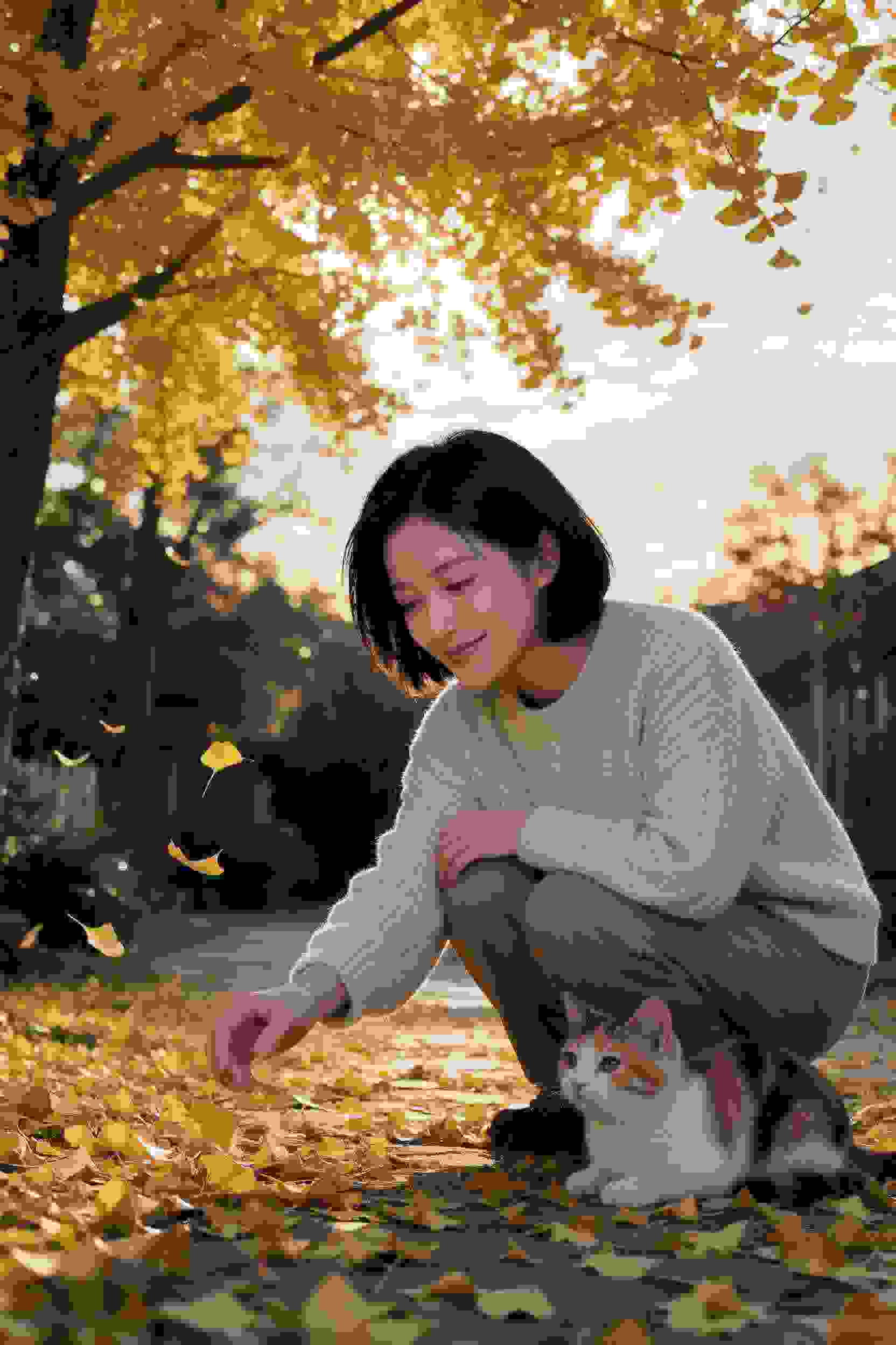 光影之城